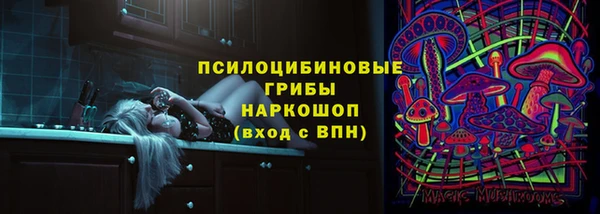 гашик Абаза
