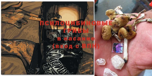 МДПВ Абинск