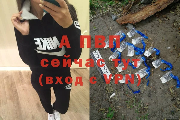 сатива Алексин